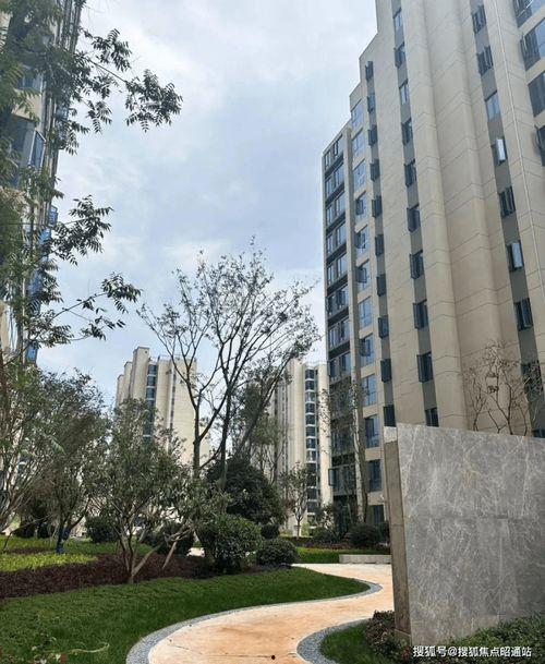 昆明碧桂园爆料最新消息,揭秘项目进展与未来规划  第2张